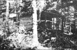 Build an Inexpensive Cabin Image